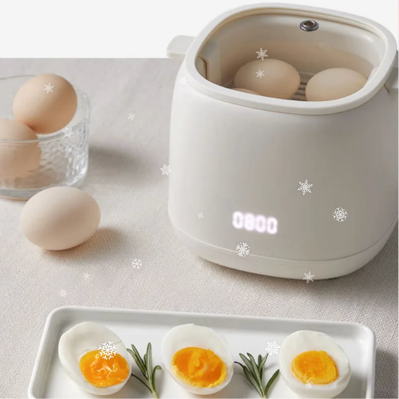 SmartEgg Koker